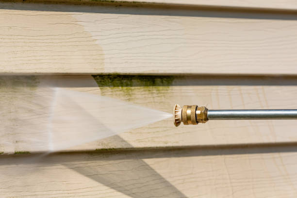 Deck Cleaning Services in Rochester, WI